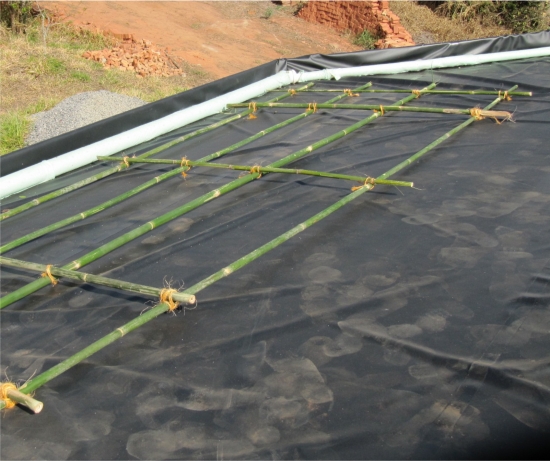 Cobertura Vegetada