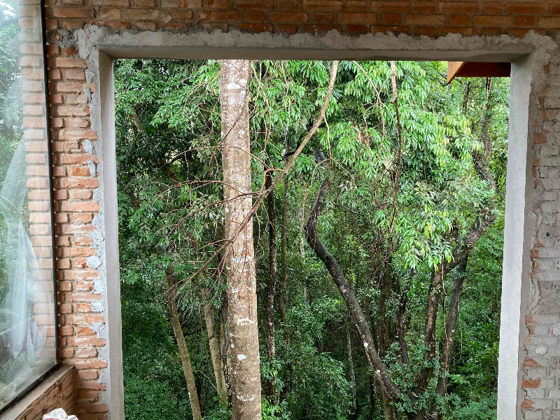 Área externa sendo reformada - abertura para a mata