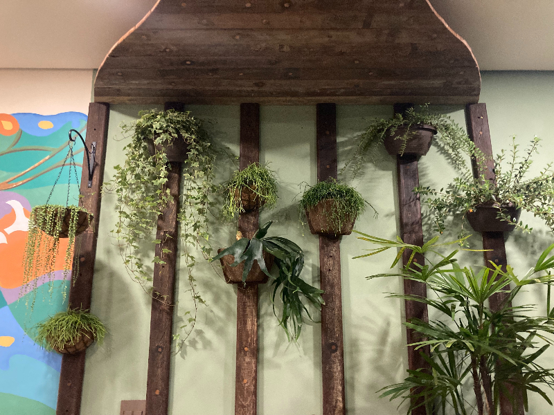 Jardim com cruzetas