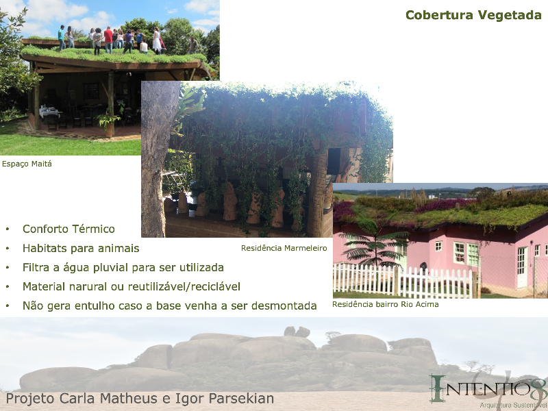 Cobertura Vegetada